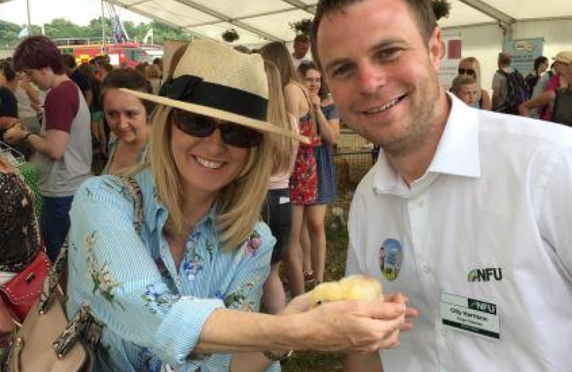 Cheshire Show 2017