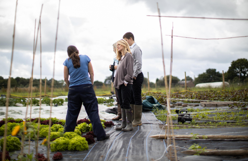 Esther hears about the planting regime