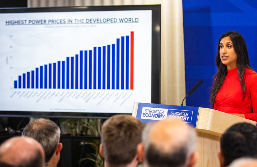 The Hidden Cost of Net Zero