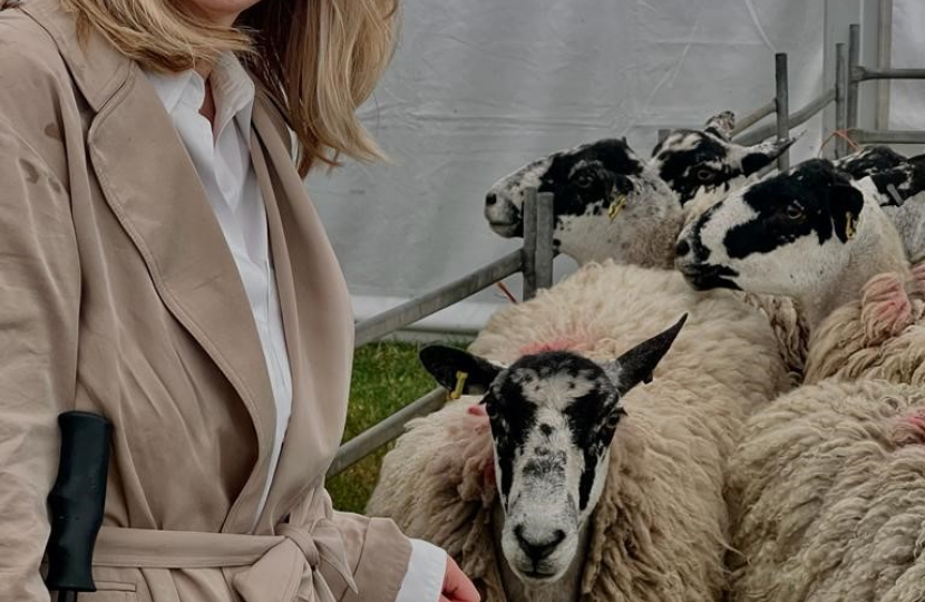 Esther McVey with Cheshire livestock