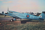 spitfire picture